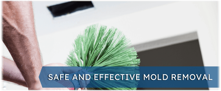 Air Duct Mold Removal in Bridgewater NJ