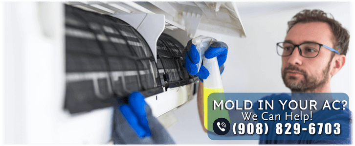 HVAC Mold Removal Bridgewater NJ